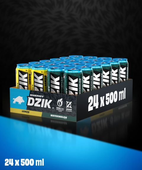 DZIK® ENERGY MIX LEMON-WATERMELON 500ml