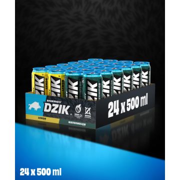DZIK® ENERGY MIX LEMON-WATERMELON 500ml
