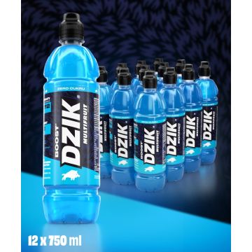 DZIK® BOOST MULTIFRUIT 750ml 